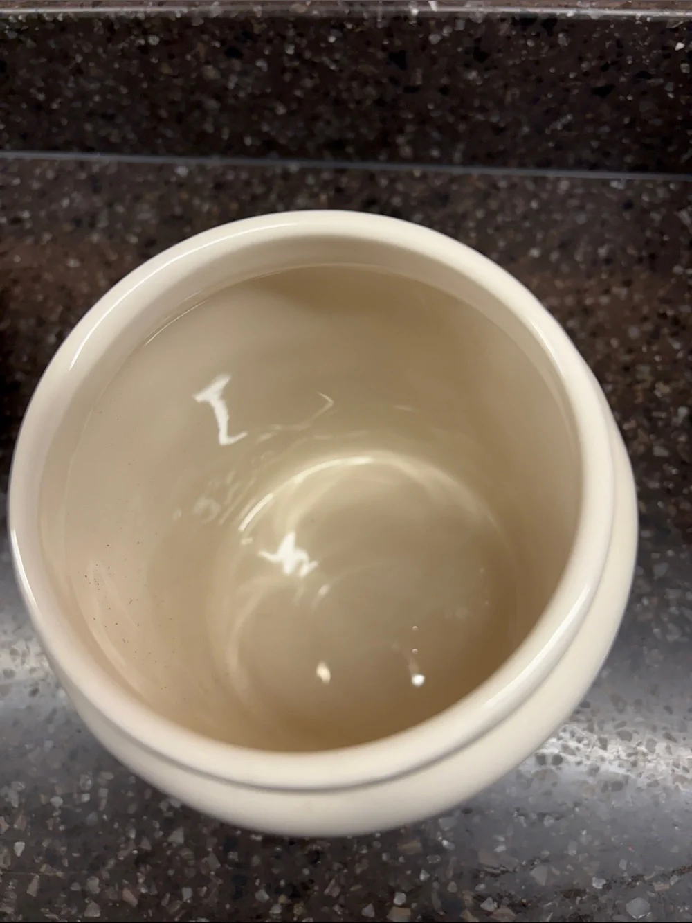 Rae Dunn Cream Ceramic Canister - TEA
